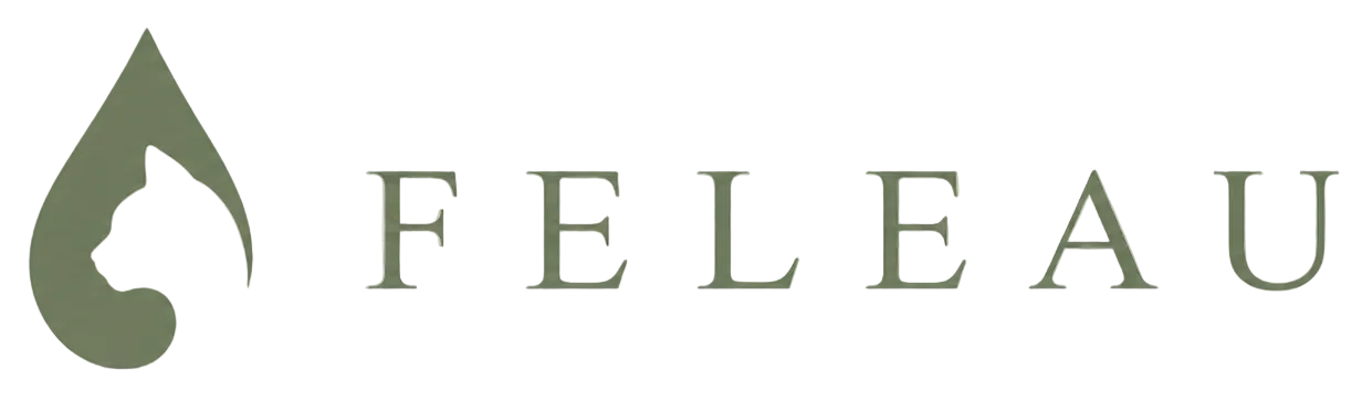 Feleau